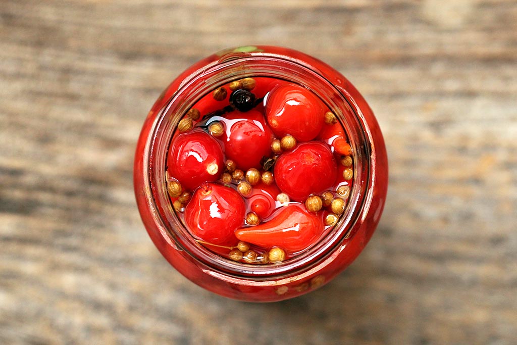 Como plantar-pimenta-biquinho-em-vasos-melepimenta 03