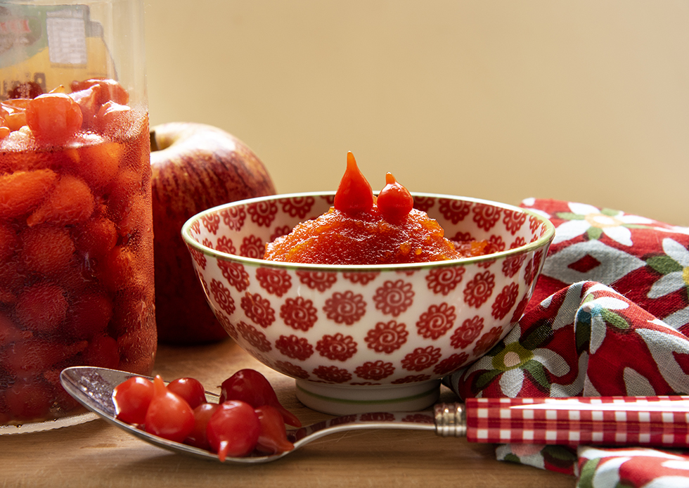 Como plantar-pimenta-biquinho-em-vasos-tanamesa 01