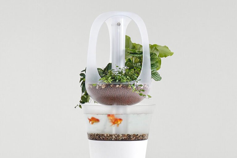 Este-vaso-usa-um-aquário-para-cultivar-plantinhas-designbloom 03