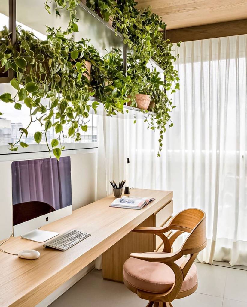 Lista-de-plantas-que-limpam-o-ar-segundo-a-NASA-designboom 19 Lista-de-plantas-que-limpam-o-ar-segundo-a-NASA-designboom 19
