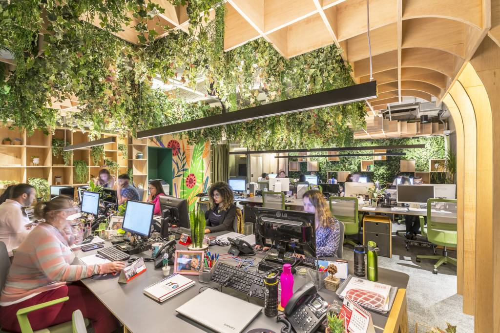 Lista-de-plantas-que-limpam-o-ar-segundo-a-NASA-designboom 20
