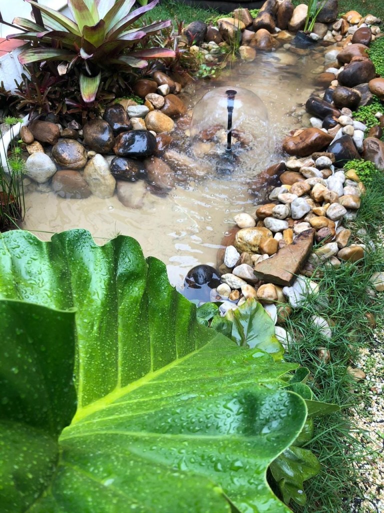 Lago com folhagens e pequena fonte no meio. Pedras em volta