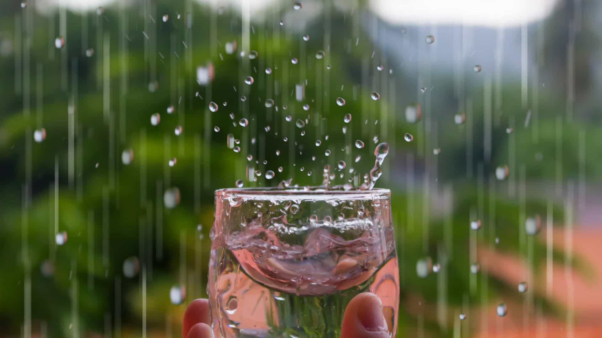 4 Formas De Captar água Da Chuva E Reaproveitar águas Cinzas Obsigen