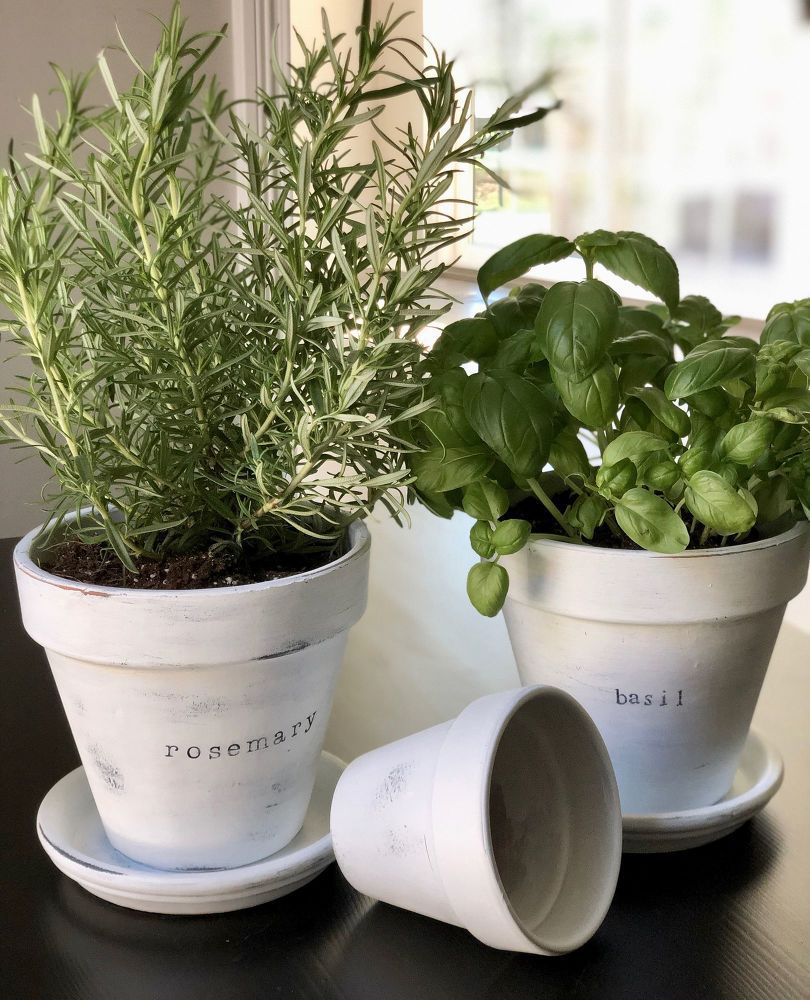 uma-cara-nova-aos-vasos-e-cachepots-casa.com-2-pinterest-hometalk Vaso de planata decorado com etiqueta com nome da planta