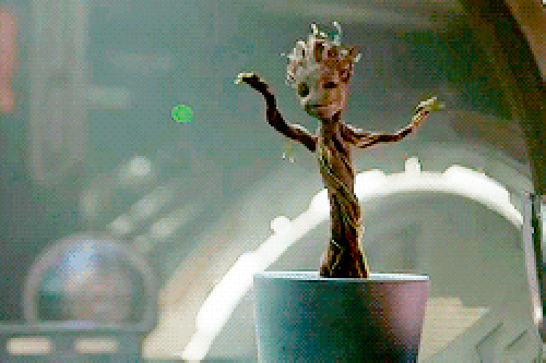 10-plantas-incomuns-groot