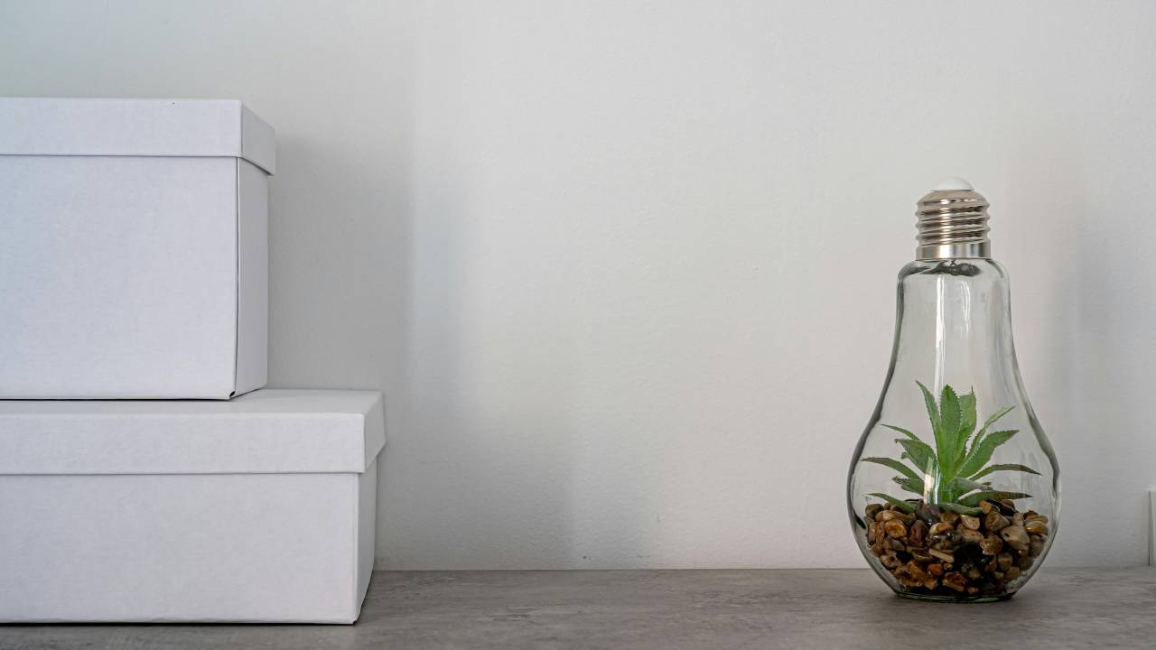 Como fazer um terrário com lâmpada