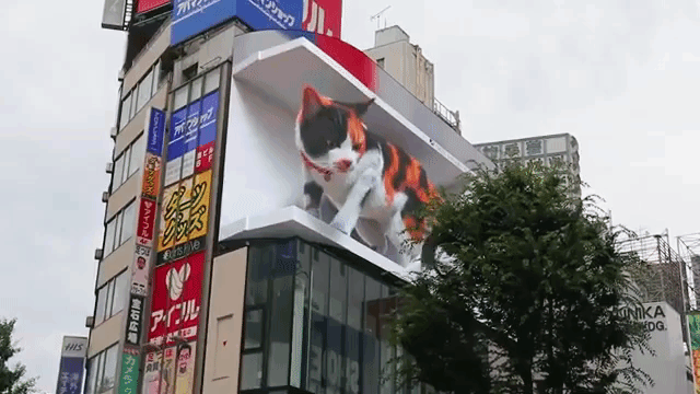 Tem um gatinho 3D gigante nesta esquina de Tóquio