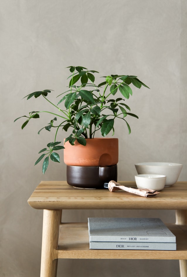 Mesa de lateral de madeira com vaso em cima e nicho vazado com livros