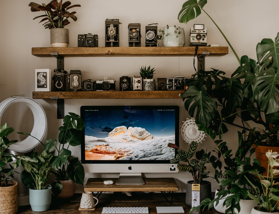 como-plantas-no-escritorio-diminuem-ansiedade-e-ajudam-na-concentracao-casa.com-6-unsplash-annie-spratt