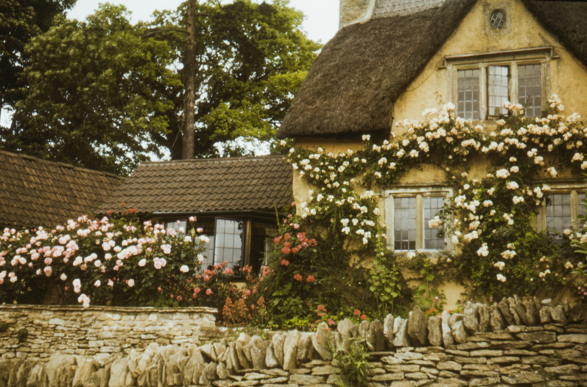 cottagecore-a-tend-ncia-que-traz-a-vida-campestre-para-o-s-culo-21