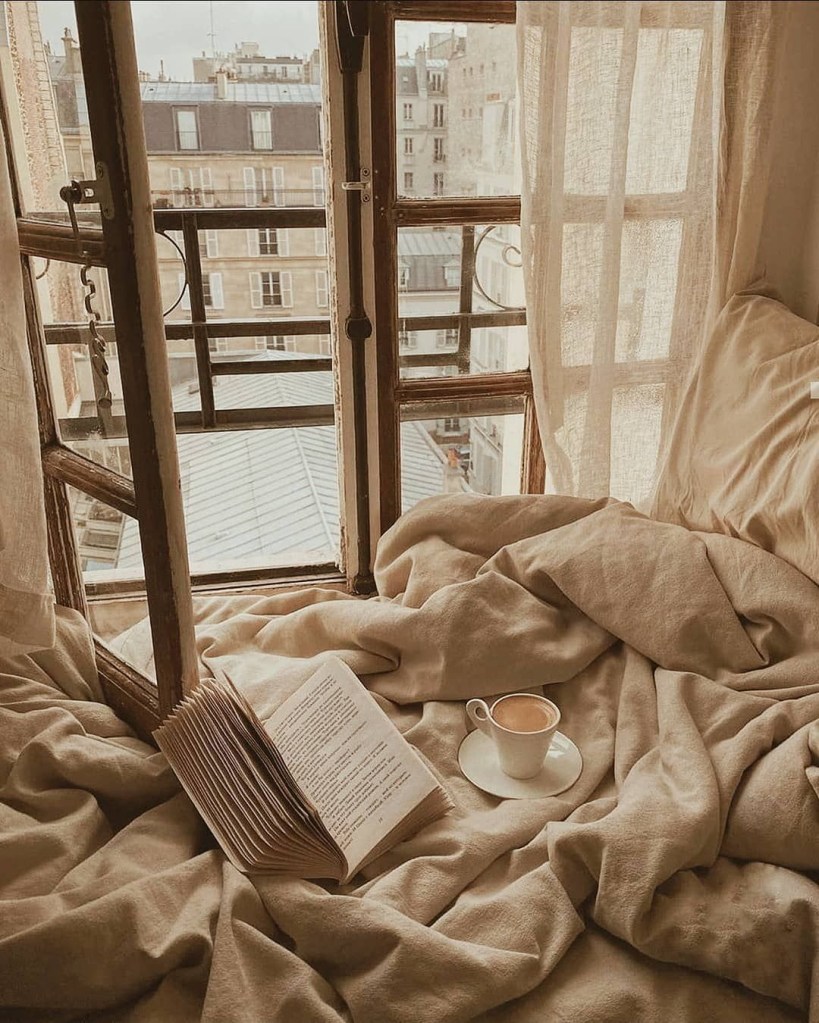 10-estilos-de-decoracao-que-fazem-sucesso-no-tiktok-novocom-dead-poets-wilde-15