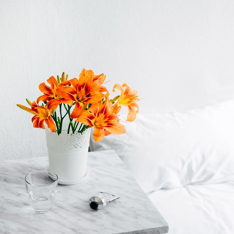 10-plantas-que-florescem-dentro-de-casa-casa.com-11-unsplash-alexandra-gorn