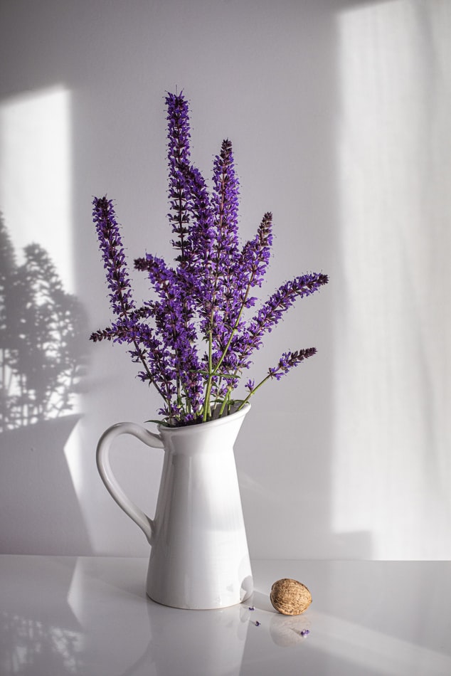 Lavanda em jarra branca feita de vaso.