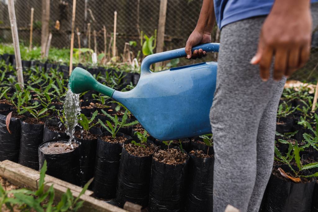 6-qual-e-a-melhor-hora-para-regar-as-suas-plantas