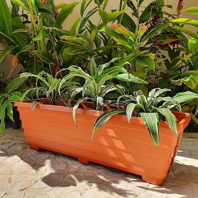 Produtos para o jardim. Na foto, kit de vasos terracota.