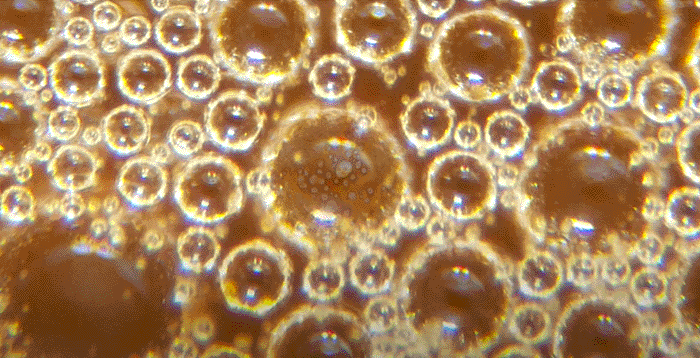 zoom-in-macrofying-instagram-arte-02