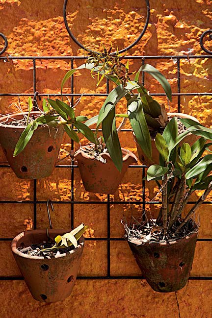 jardim-se-espalha-pelo-quintal-e-corredor08