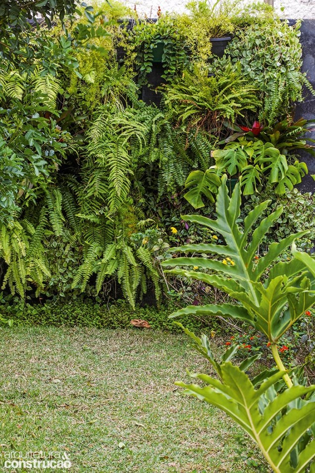 A biodiversidade brasileira é destaque neste jardim vertical com espécies da Mata Atlântica. O sistema prevê impermeabilização da base, treliça para fixação dos vasos, substrato especial, irrigação automatizada e plantas como as da foto: samambaia-americana e peperômia-pendente. Fornecido pela Sky Garden, tem preço a partir de R$ 950 o m2 instalado.
