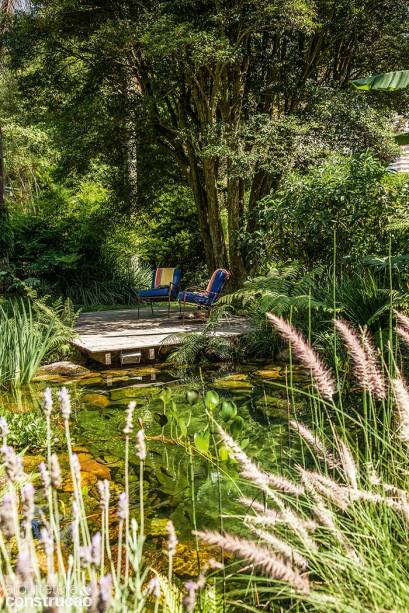 Quer nadar num tanque sem química pesada? Esse tipo de piscina, bastante comum na Europa, refresca também a moradia da paisagista Renata Tilli, em São Paulo. Delimitado por manta impermeabilizante e pedras, o lago conta com plantas aquáticas, peixes, motor e filtro – tudo com equilíbrio natural. A orientação coube à engenheira agrônoma Estelle Dugachard e à equipe da Ecosys.