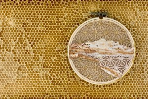 4-abelhinhas-ajudaram-a-criar-estas-obras-de-arte