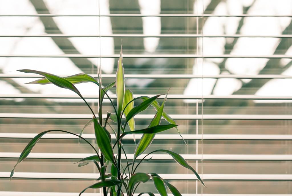 Cuidados-com-as-cortinas-confira-como-limpá-las-corretamente-pexels-11