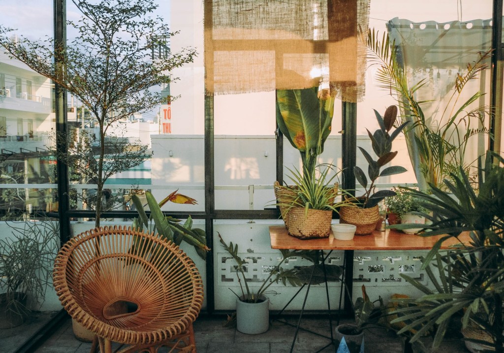 Feng Shui Como incluir plantas na sua casa seguindo a prática 06 Vision Art NEWS