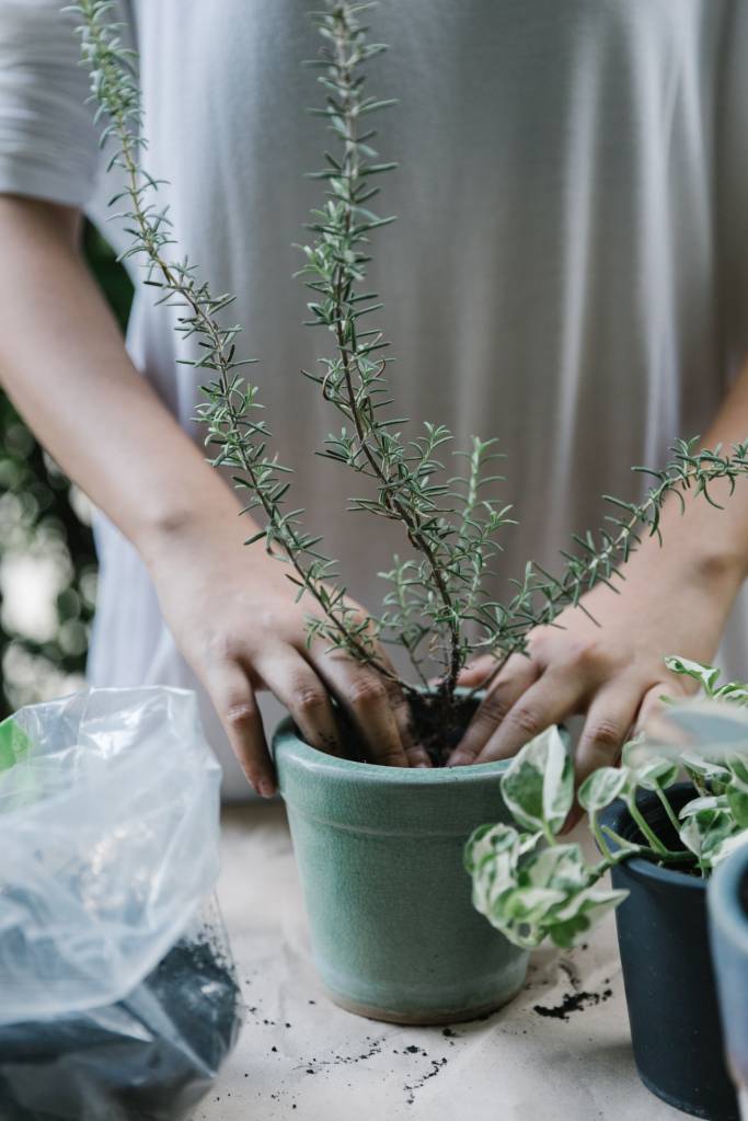 Passo-a-passo-para-preparar-o-solo-das-suas-plantinhas-08