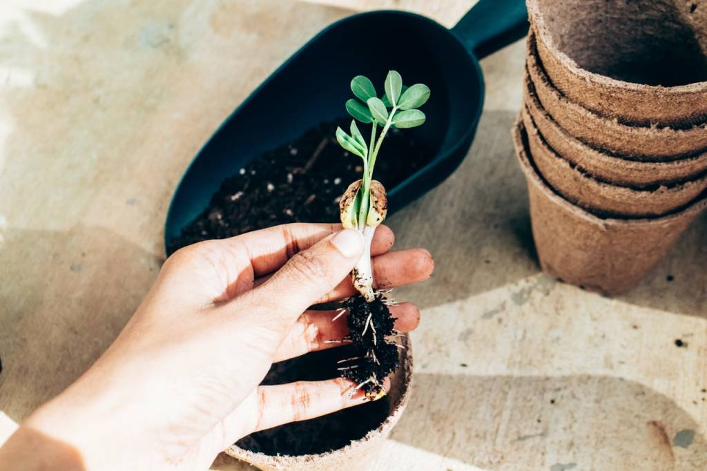 Passo-a-passo-para-preparar-o-solo-das-suas-plantinhas-09