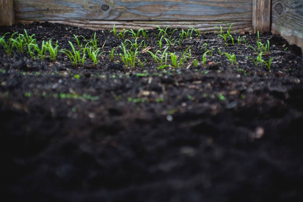 Passo-a-passo-para-preparar-o-solo-das-suas-plantinhas-14