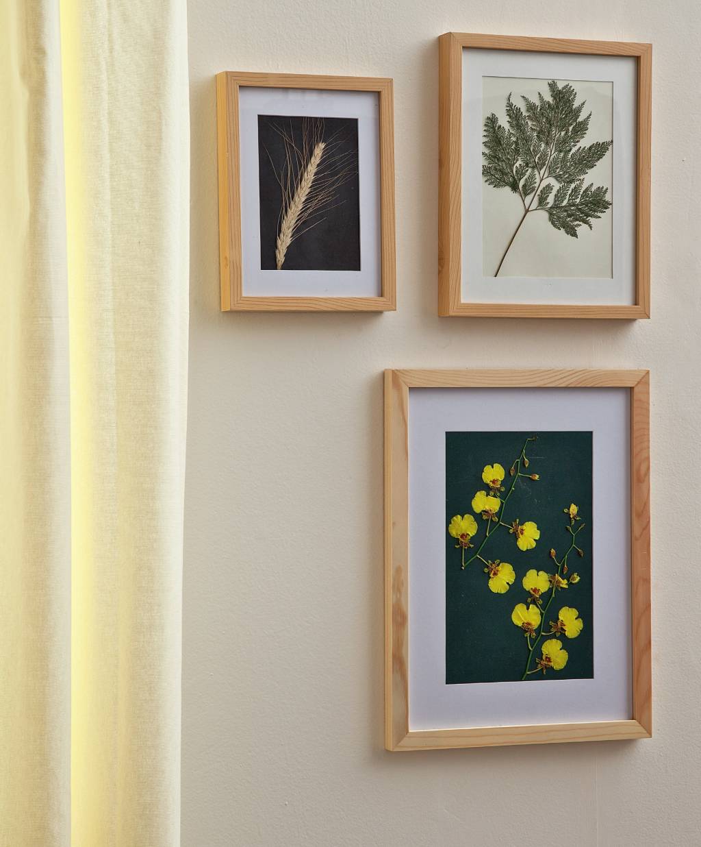 Aprenda a fazer quadros com folhas e flores secas02