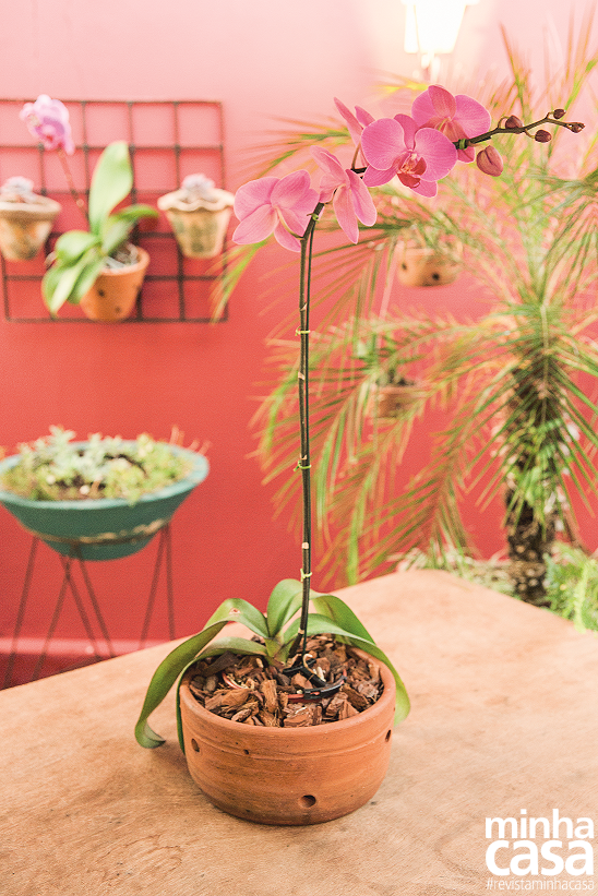 Aqui se cultiva beleza e muito aconchego Aqui se cultiva beleza e muito aconchego