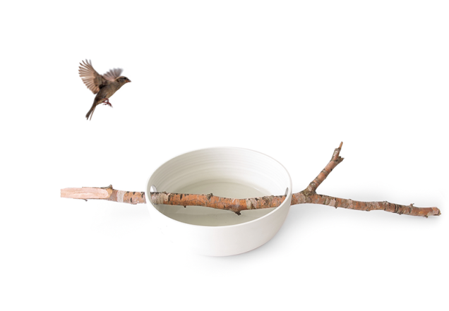 De Martín Azúa, o bowl de cerâmica da série Manantial (45 cm de diâmetro) dialoga com a rusticidade dos galhos coletados pelo autor na floresta de Opakua, Espanha. A partir de € 240, com o designer.