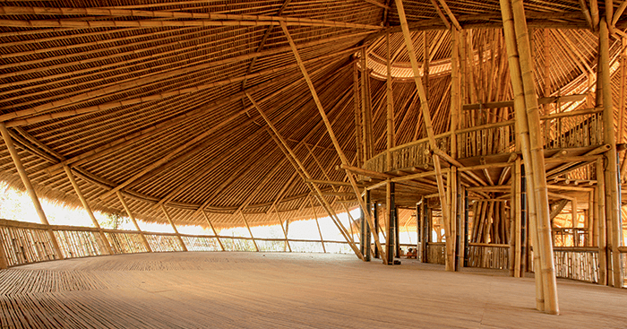 Bioarquitetura para um novo mundo