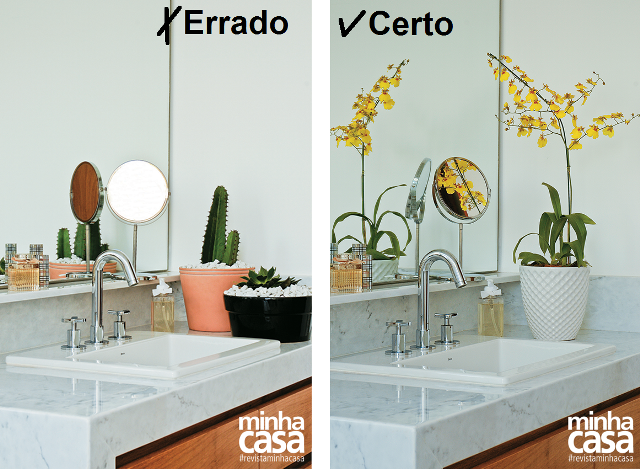 Certo e errado:plantas dentro de casa