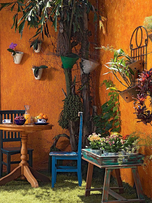 Jardim no quintal e corredor: como criar um oásis verde em casa