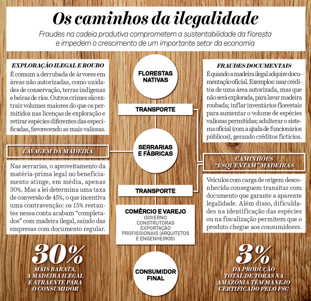 DOSSIÊ MADEIRAS INFO