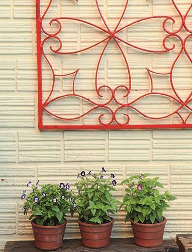 Jardim rústico barato: reforma cria quintal com jardim vertical de paletes