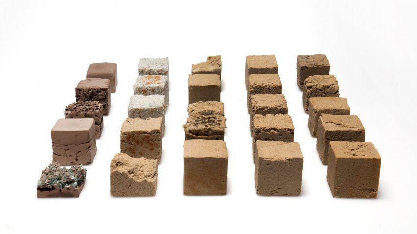 Cientistas desenvolvem material biodegradável para construção