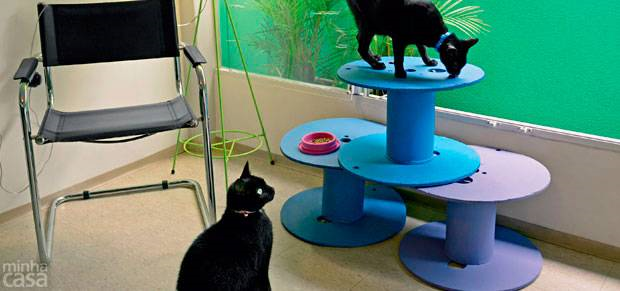 Gatos: área de lazer feita com carretéis de fios