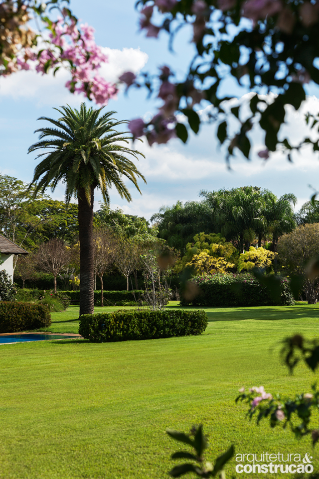 A palmeira-das-canárias é uma das árvores que pontuam o jardim.