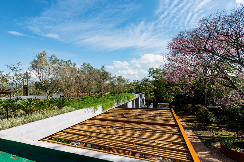 Telhado vivo: a área verde do lote que deu lugar à construção foi compensada pelos 350 m² da cobertura com jardim, irrigado com água de chuva e de reúso.A solução ainda garante mais conforto térmico à casa.