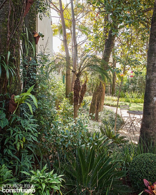 Entre as árvores no canteiro, destaque para a palmeira fênix (Phoenix roebelenii), o arbusto tumbérgia-arbustiva (Thumbergia erecta) e a forração barba-de-serpente (Ophiopogon jaburan).
