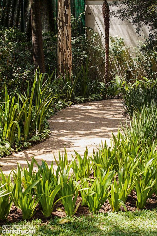 A alameda de mosaico de pedra portuguesa (Palimanan) segue cercada pela sequência de íris (Iris germanica) e moreia-bicolor (Dietes bicolor). Apesar das folhagens longilíneas parecidas, ambas colorem o canteiro na época de floração. A alameda de mosaico de pedra portuguesa (Palimanan) segue cercada pela sequência de íris (Iris germanica) e moreia-bicolor (Dietes bicolor). Apesar das folhagens longilíneas parecidas, ambas colorem o canteiro na época de floração.