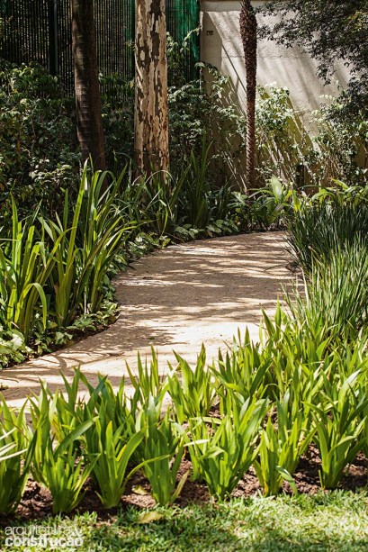 A alameda de mosaico de pedra portuguesa (Palimanan) segue cercada pela sequência de íris (Iris germanica) e moreia-bicolor (Dietes bicolor). Apesar das folhagens longilíneas parecidas, ambas colorem o canteiro na época de floração.