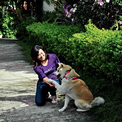 Jardim seguro para pets