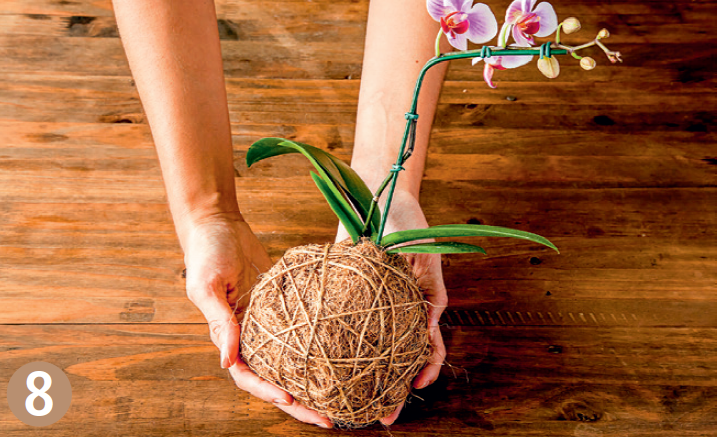 Kokedama: natureza japonesa em casa