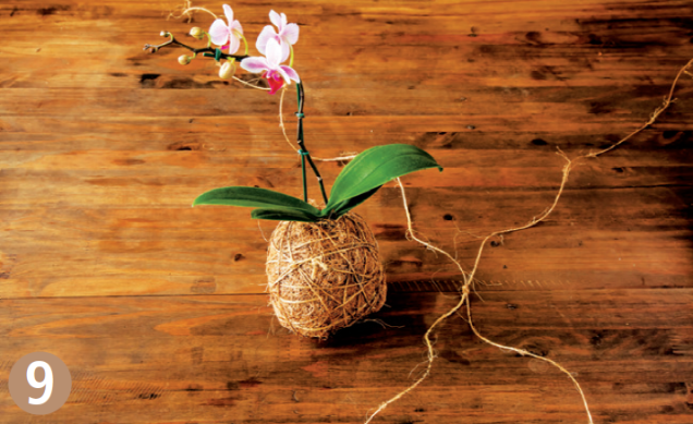 É hora de preparar o fio que servirá de suporte para pendurar a kokedama. Corte cerca de 2 m de sisal, junte as pontas e estique. Faça um nó bem no meio desse fio duplo. Corte a extremidade que ficou unida, de modo a formar um X com a corda.