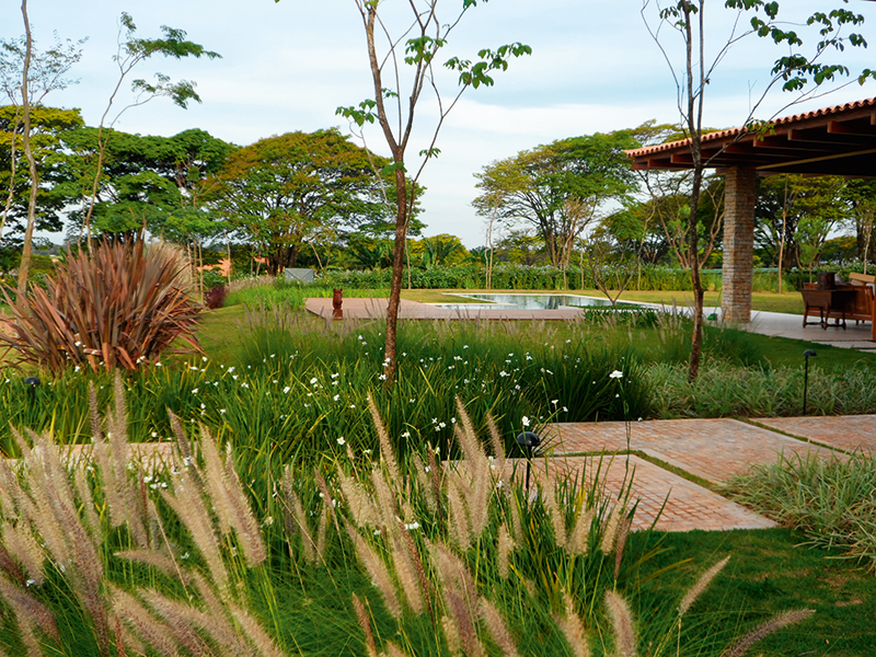 Haras Larissa, Monte Mor, SP, 2013: A estética campestre do projeto de cerca de 3 mil m² é garantida em grande parte pelos arbustos com flores e pela mescla de capins, entre eles: capim-do-texas (em primeiro plano, na foto), capim-azul e capim-bambu. “Gosto de deixar a área central do jardim livre e os limites cheios, para o espaço parecer mais amplo.”