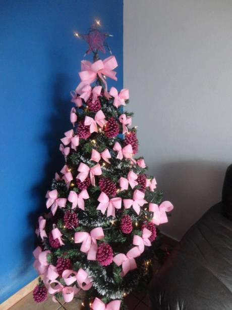 Rosa - Natal de 2012 Rosa - Natal de 2012