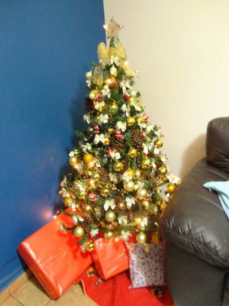 Dourada - Natal de 2011 Dourada - Natal de 2011